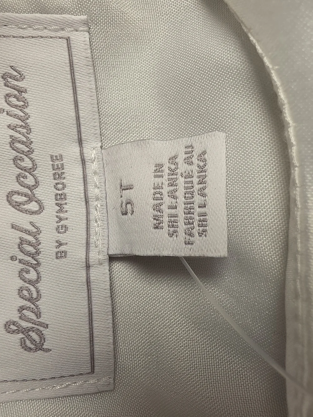 Gymboree Ivory Satin Flower Girl Dress